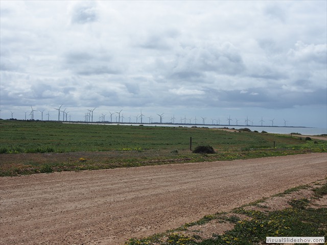Wind farm...