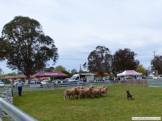 ...how many are guilty???